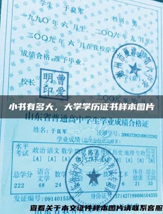 小書有多大，大學學歷證書樣本圖片