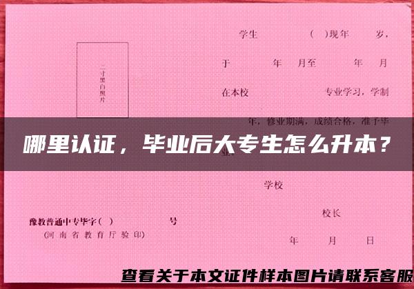 哪里認證，畢業后大專生怎么升本？