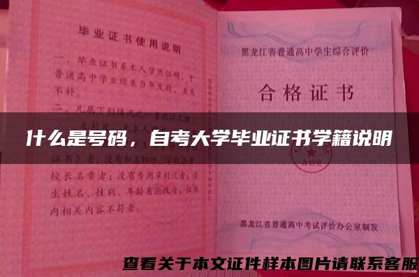 什么是號碼，自考大學畢業證書學籍說明