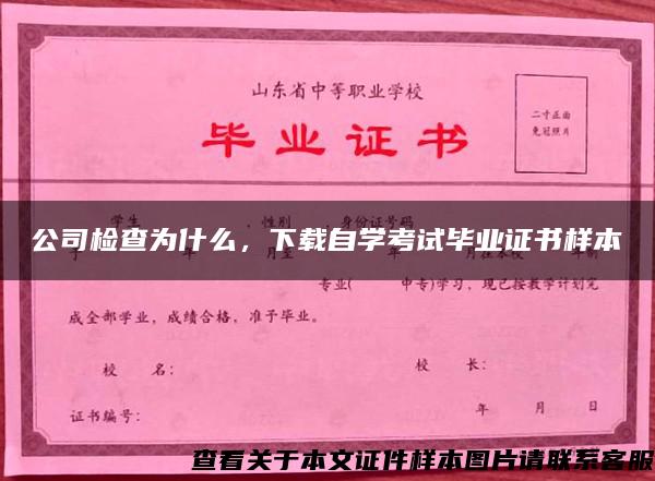 公司檢查為什么，下載自學考試畢業證書樣本