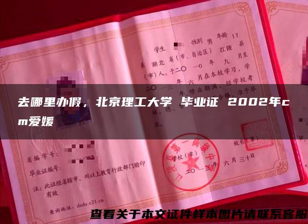 去哪里辦假，北京理工大學 畢業證 2002年cm愛媛