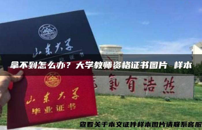 拿不到怎么辦？大學教師資格證書圖片 樣本
