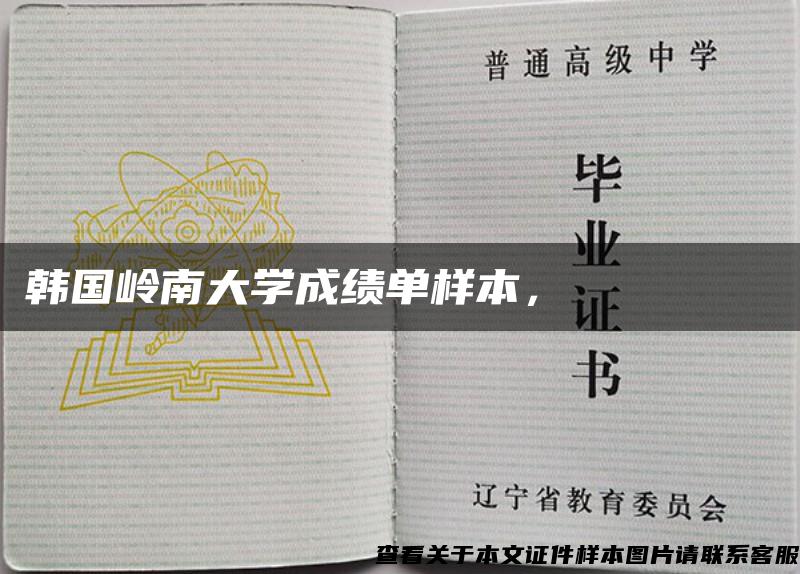 韓國嶺南大學成績單樣本，????? ???