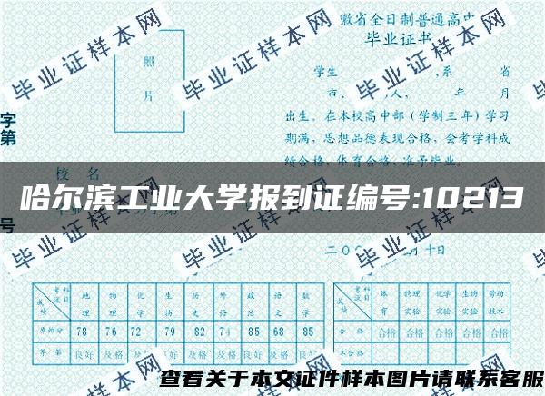 哈爾濱工業大學報到證編號:10213