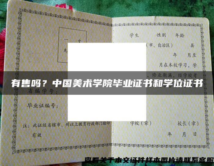 有售嗎？中國美術學院畢業證書和學位證書