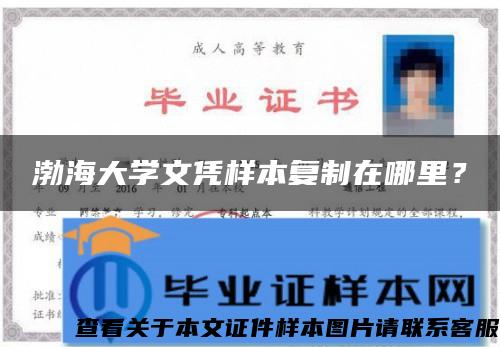 渤海大學文憑樣本復制在哪里？