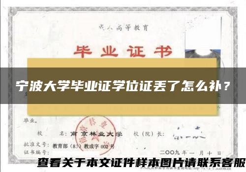 寧波大學畢業證學位證丟了怎么補？