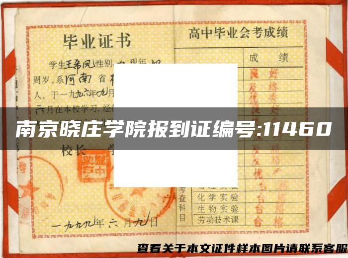 南京曉莊學院報到證編號:11460