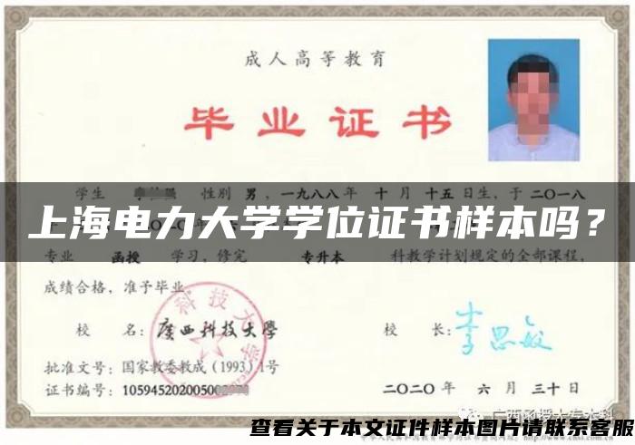 上海電力大學學位證書樣本嗎？