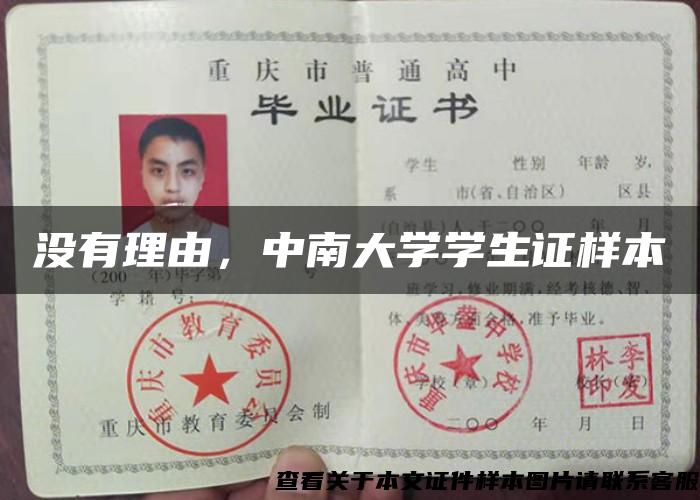 沒有理由，中南大學學生證樣本
