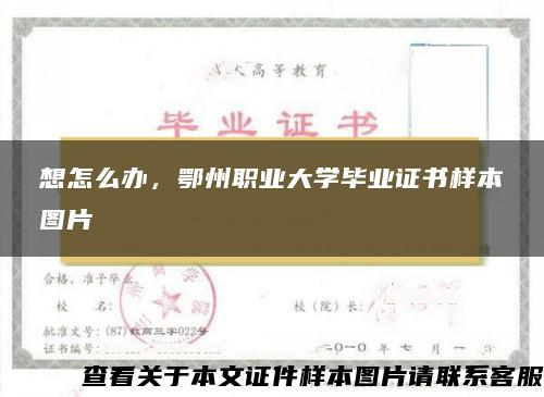 想怎么辦，鄂州職業大學畢業證書樣本圖片