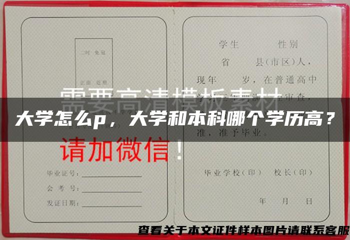 大學怎么p，大學和本科哪個學歷高？