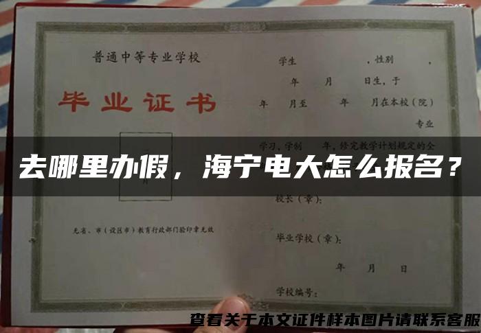 去哪里辦假，海寧電大怎么報名？