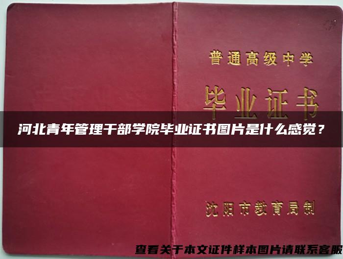 河北青年管理干部學院畢業證書圖片是什么感覺？