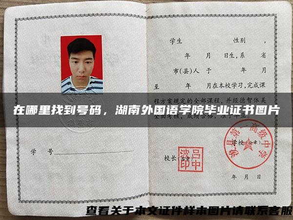 在哪里找到號碼，湖南外國語學院畢業證書圖片