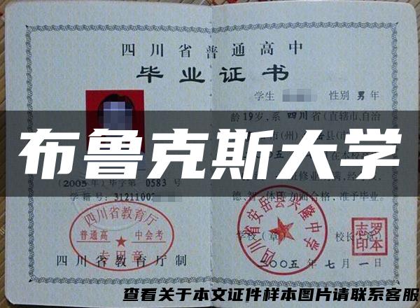 布魯克斯大學