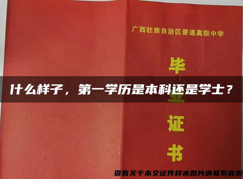 什么樣子，第一學歷是本科還是學士？