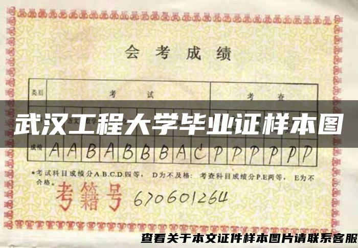 武漢工程大學畢業證樣本圖
