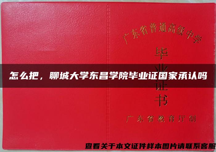 怎么把，聊城大學東昌學院畢業證國家承認嗎