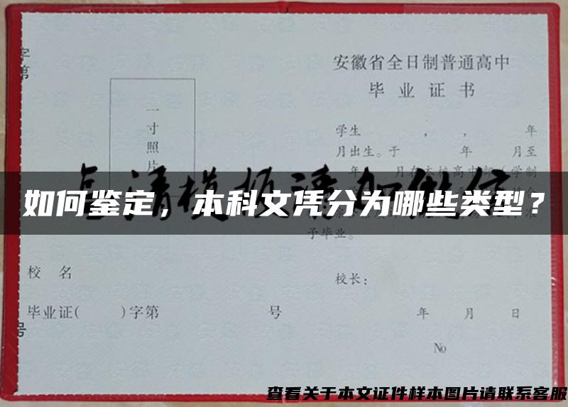 如何鑒定，本科文憑分為哪些類型？