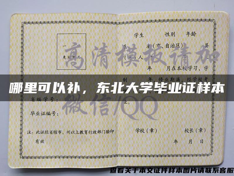 哪里可以補，東北大學畢業證樣本