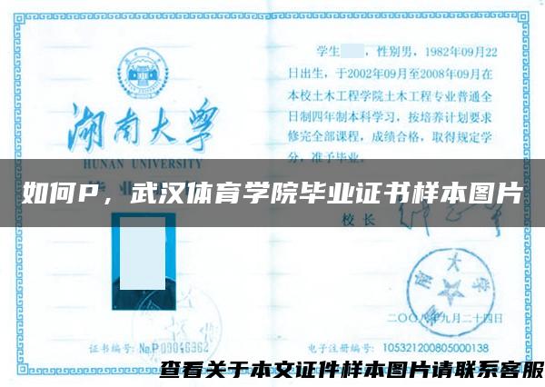 如何P，武漢體育學院畢業證書樣本圖片