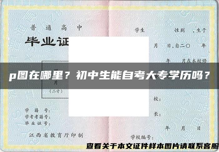 p圖在哪里？初中生能自考大專學歷嗎？