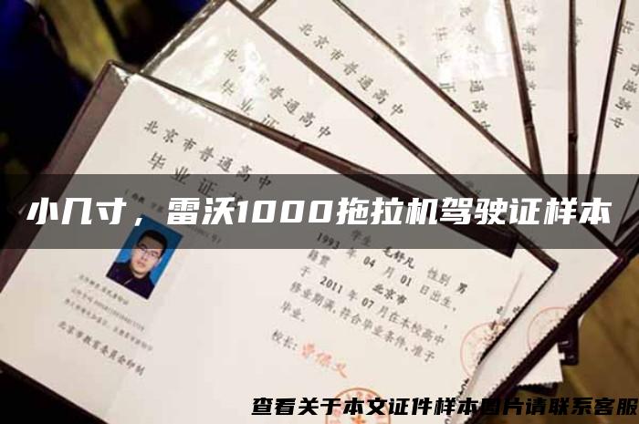 小幾寸，雷沃1000拖拉機駕駛證樣本