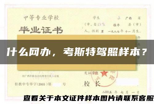 什么網辦，考斯特駕照樣本？