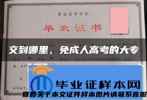 交到哪里，免成人高考的大專