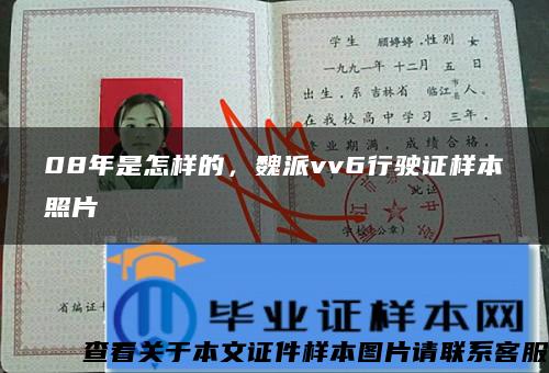08年是怎樣的，魏派vv6行駛證樣本照片