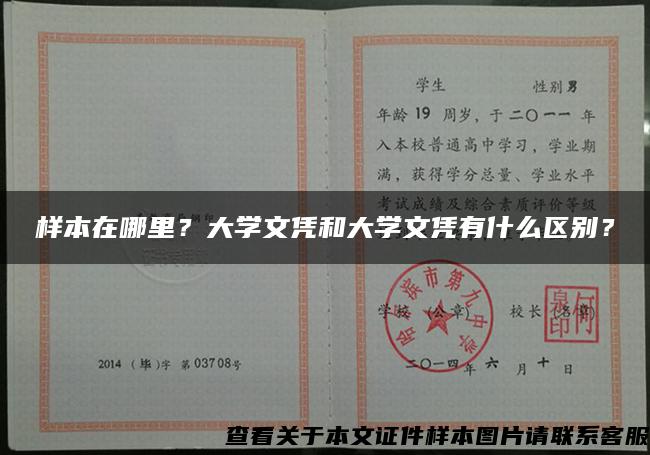 樣本在哪里？大學文憑和大學文憑有什么區別？