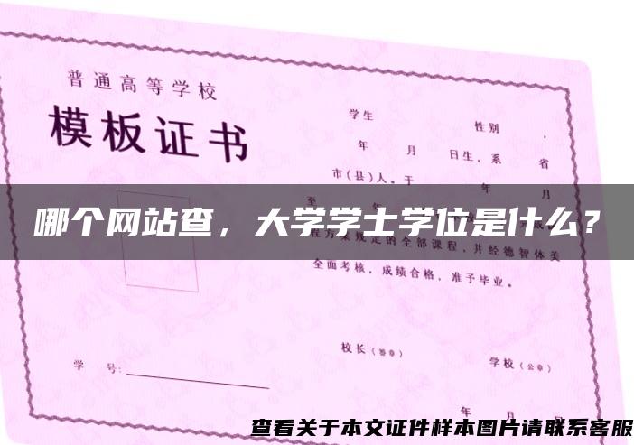 哪個網站查，大學學士學位是什么？