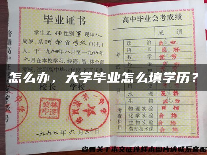 怎么辦，大學畢業怎么填學歷？