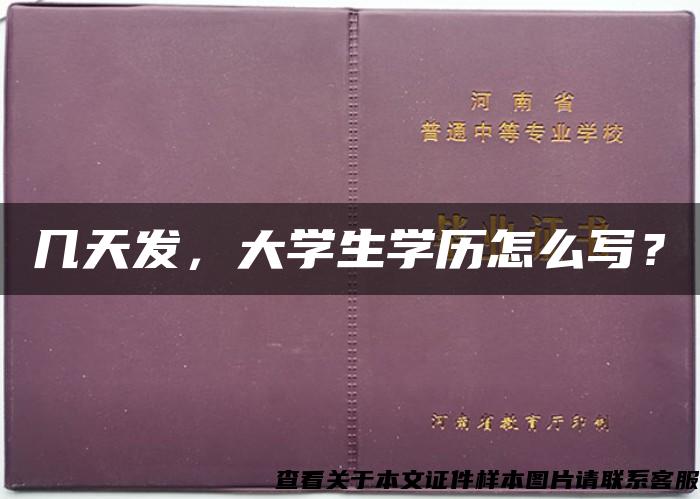 幾天發，大學生學歷怎么寫？