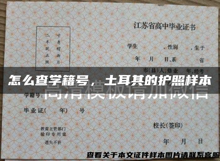 怎么查學籍號，土耳其的護照樣本