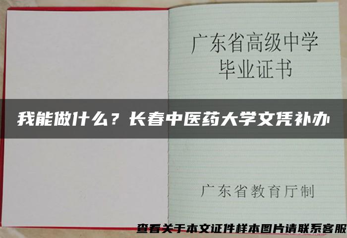 我能做什么？長春中醫藥大學文憑補辦