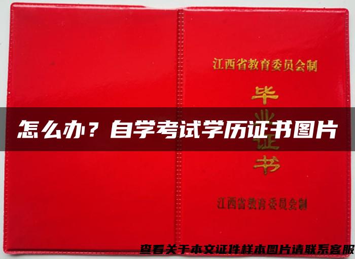 怎么辦？自學考試學歷證書圖片