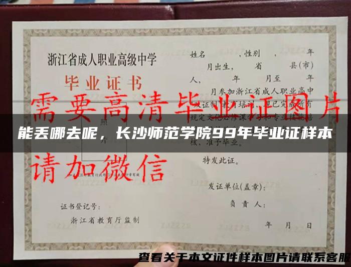 能丟哪去呢，長沙師范學院99年畢業證樣本