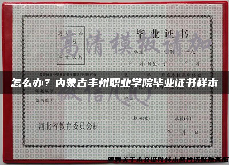 怎么辦？內蒙古豐州職業學院畢業證書樣本