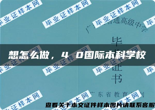 想怎么做，4 0國際本科學校