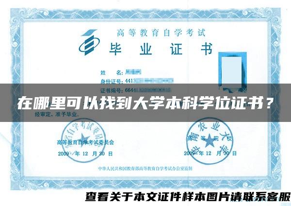 在哪里可以找到大學本科學位證書？