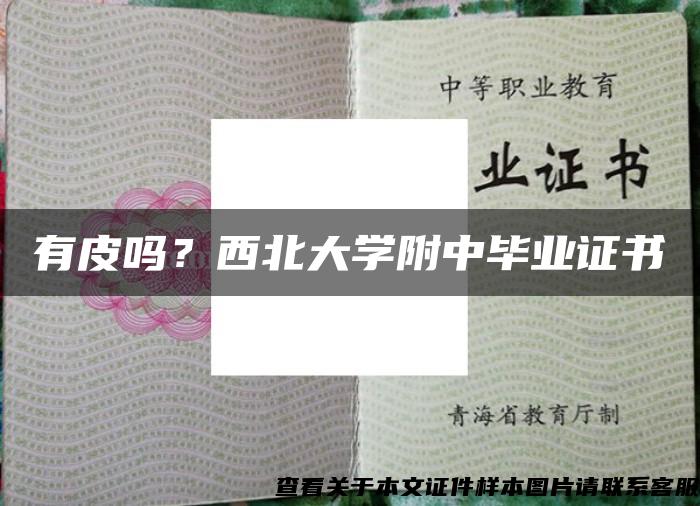 有皮嗎？西北大學附中畢業證書