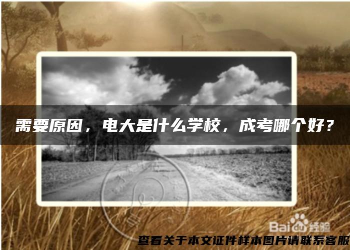 需要原因，電大是什么學校，成考哪個好？