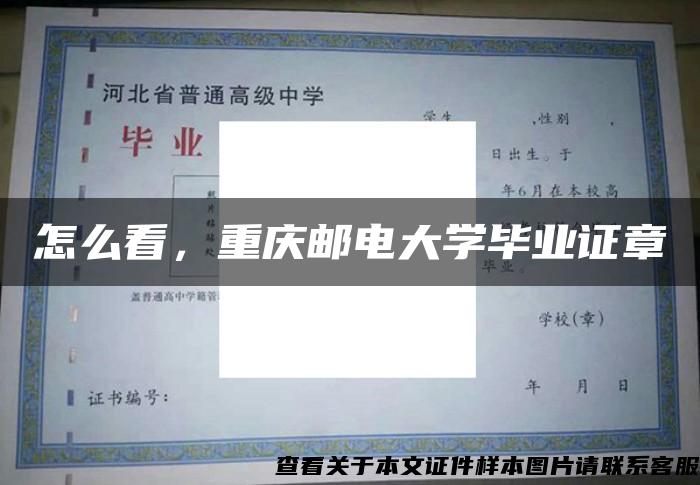 怎么看，重慶郵電大學畢業證章