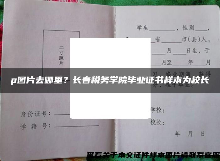 p圖片去哪里？長春稅務學院畢業證書樣本為校長