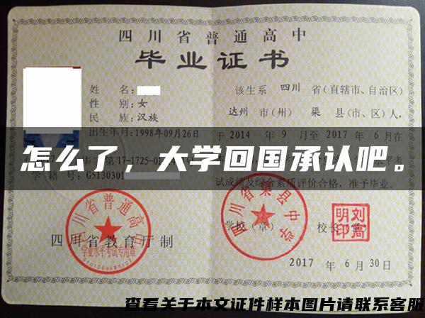 怎么了，大學回國承認吧。