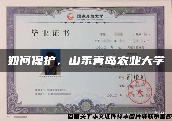 如何保護，山東青島農業大學