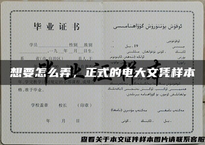 想要怎么弄，正式的電大文憑樣本