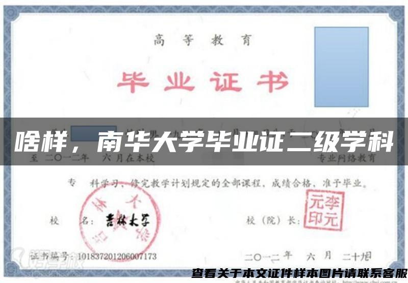 啥樣，南華大學畢業證二級學科